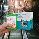 루다약국 이미지