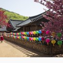 서남사