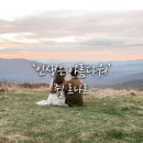 [쉬어가기]인생은 아름다워 이미지