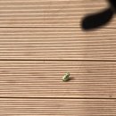 해바라기 키즈 풀빌라 이미지