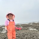 선감어촌체험휴양마을 | 선감어촌체험마을 갯벌체험은 돈 내고해야 함.