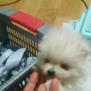 금개하우스 이미지