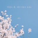 스테이 파란 이미지