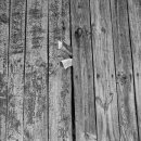 마동1리 이미지