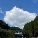 화인애견 이미지