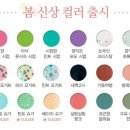 슈가네일 - 화성시 | 슈가네일