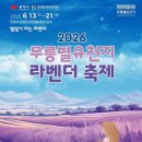 (주)지이스토리 | 26년 6월9일 무릉별유천지 다녀왔어요! 라벤더 개화 현황 (라벤더축제)