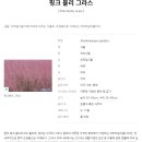 핀아드레 이미지