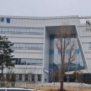 217 이미지