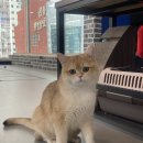 시나브로복싱 이미지