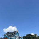 대자연농원 | [용인] 파이브이모션캠핑장 관광농원 반려동물동반가능캠핑장 용인캠핑장추천 서울근교 캠핑장