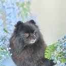 여울그루밍 이미지