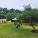 보성국민학교카페 이미지