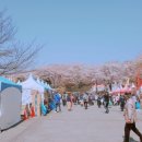 스시하나미 이미지