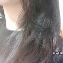 (주)티앤아이코리아 | 알로바디 샴푸 컨디셔너 호텔용품이라 향 좋고 머리결도 윤기난다 :)