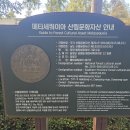 메타세쿼이아랜드 | 인생샷 명소 그 이상! 담양 메타세쿼이아랜드 맨발걷기로 &#39;어싱&#39; 힐링 완성