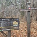정상휴게소