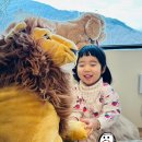 의령휴게소 | 의령 야베스팜카페 _ 아이와가기좋는곳 진주 근교 체험 목장 체험