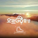 ㈜다음레저 일간스포츠