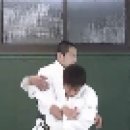 한팔업어치기(Ippon-seoi-nage) 이미지