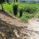 와촌면사무소 이미지