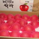 참 맛있는 사과~ 낙산골농장 꿀부사