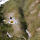 삼삼오오농장 이미지