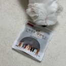 마이애펫