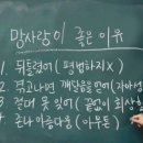 초록의파랑