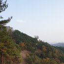 부여(임천)-11 티스토리