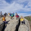 유 농원 이미지