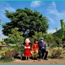 (2022-93)~까치산.아내와 태화강공원 이미지