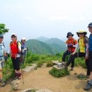 오지 1리 이미지