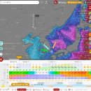 파고배
