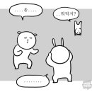 강아지 꼬야 이미지