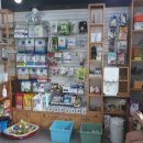 영대연합동물병원 이미지