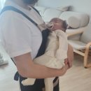 베베앙쥬 네이버블로그
