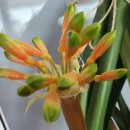 단지골 농장 이미지