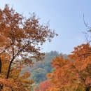 산곳천 이미지