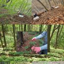 강림면351 이미지