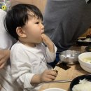 [ 21개월 / +649 - 651 days ] 가족 거제여행 / 아기랑 장거리여행 /거제 매미성 /바람의언덕 /바람의...