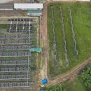 태양2농장 이미지