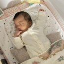 [육아: 제품 후기] 리안 드림콧 아기침대 내돈내산 실사용 솔직 후기 (반려묘 있으신 분들 꼭 보세요!)