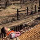 대방엘리트어린이집 이미지