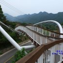 태극약초 티스토리