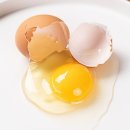 (온라인)건강한 밥상 | 건강한 식탁의 시작! 난각번호1번 계란 유정란 선택이 가족의 건강을 결정합니다