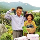 연진농장 이미지