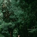 송당 온도 이미지