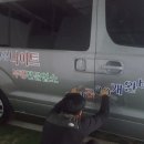 뉴월드관광나이트 이미지