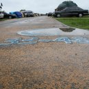 진위서로 이미지